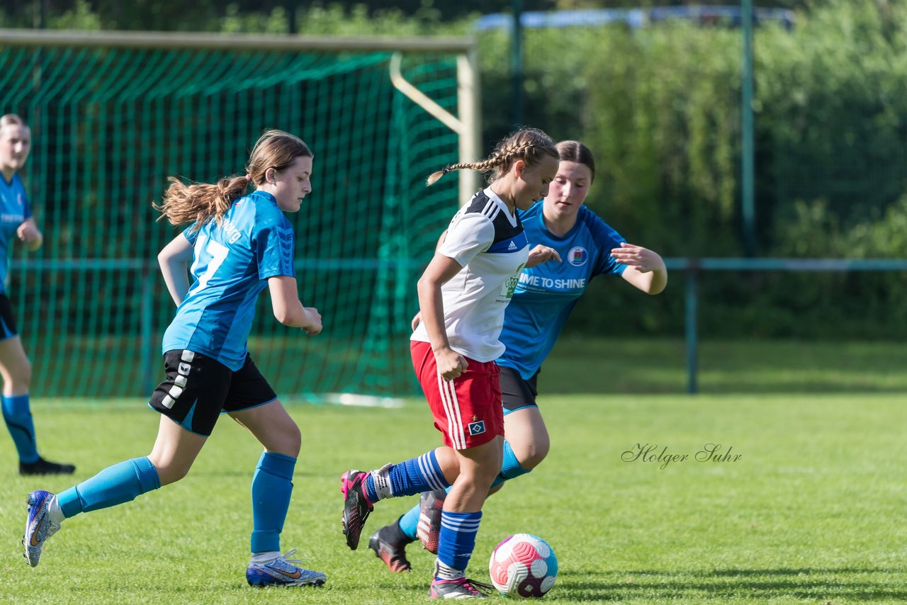 Bild 101 - wBJ VfL Pinneberg - Hamburger SV 2 : Ergebnis: 1:3